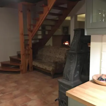 Dom W Lesie 別荘 *